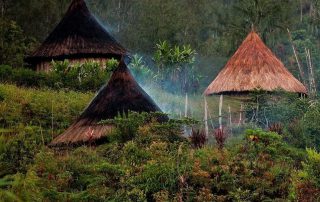 no image is available for this missionary, so here are some huts with smoke wafting through the thatch roofs