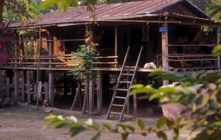 House on stilts