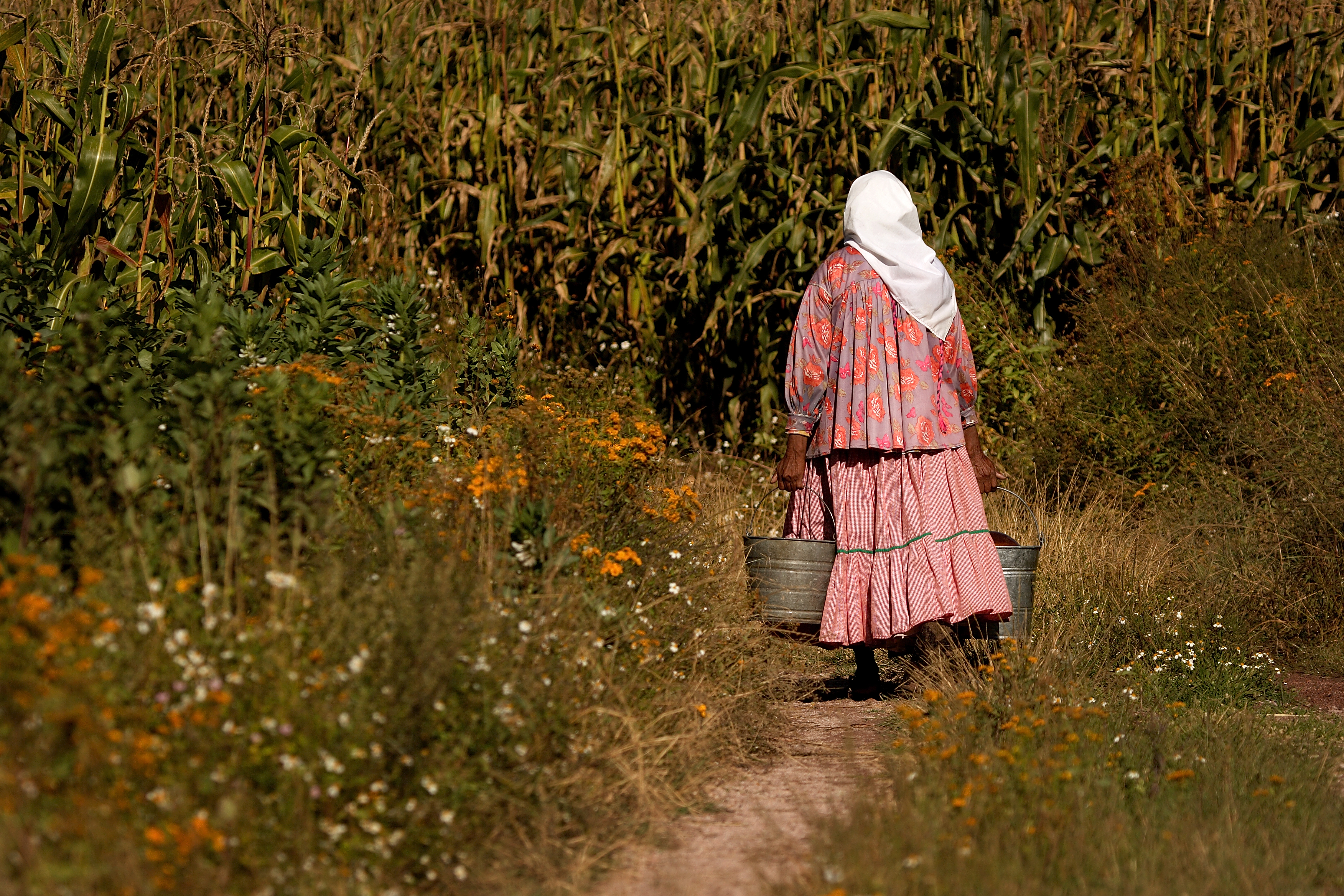 Lady Carrying Pails in Field