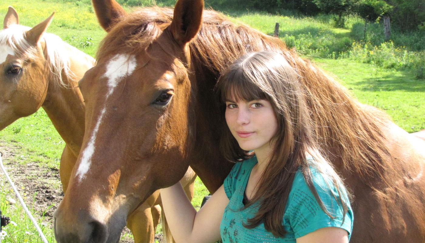 Snell with horses