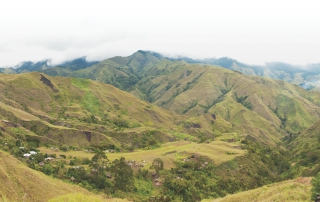 Landscape panorama