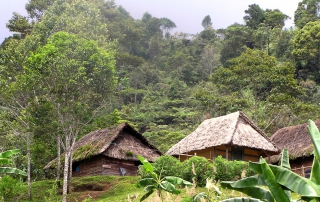 huts and landscape