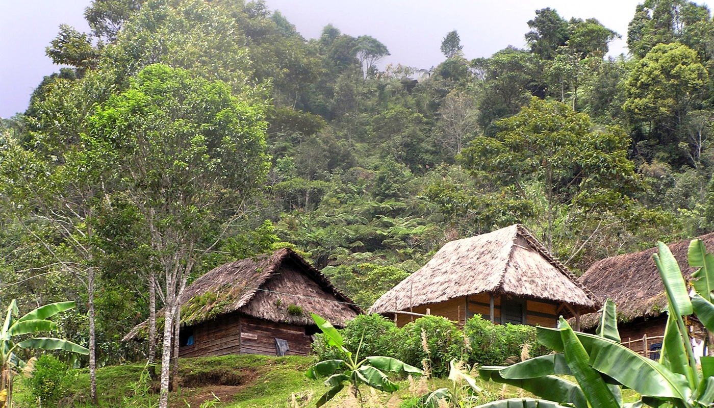 huts and landscape