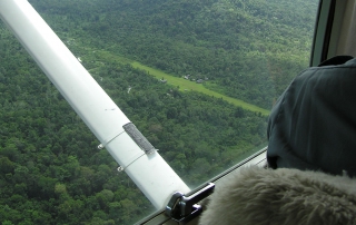 view out of plane window