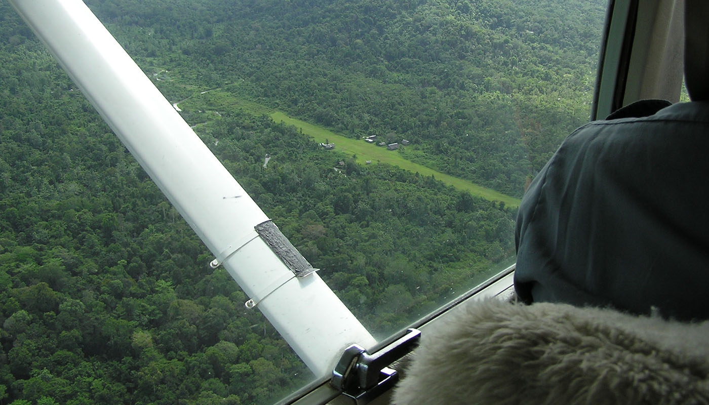 view out of plane window