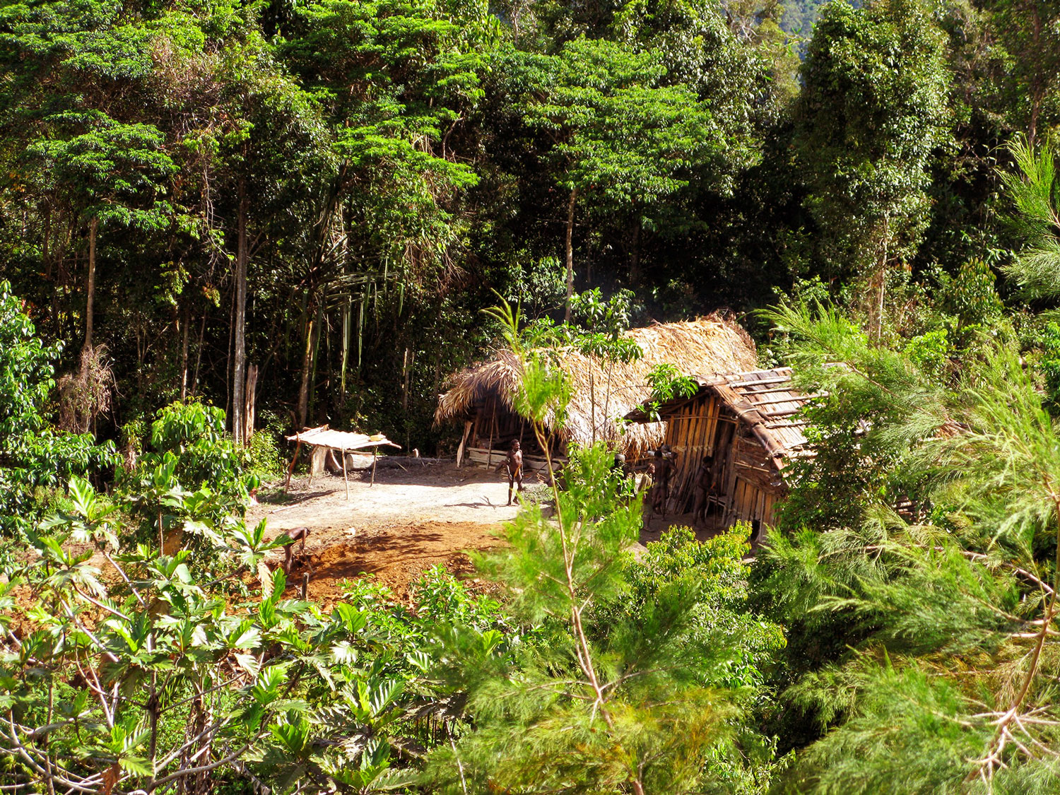 photo of traditional Moi home