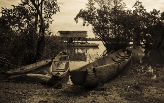 Canoe by the riverside