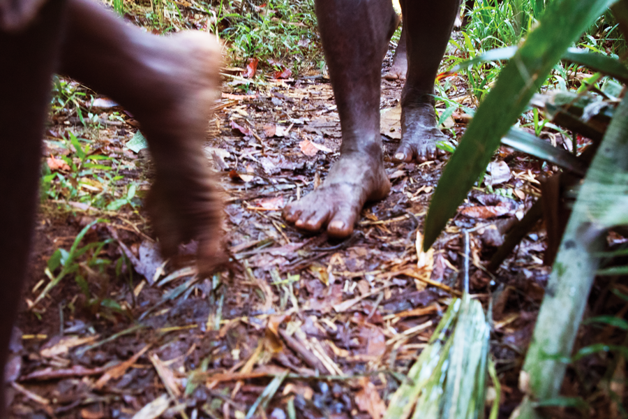 bare feet of people walking in the jungle