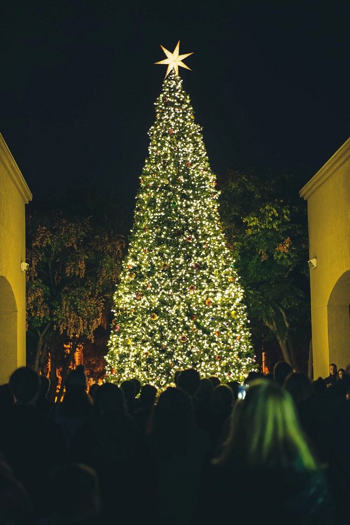 outdoor Christmas tree with many gathered around it