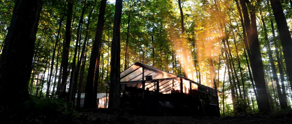 jungle camp house at dawn