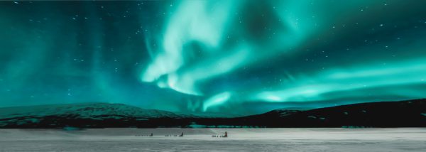 northern lights and dog sledders