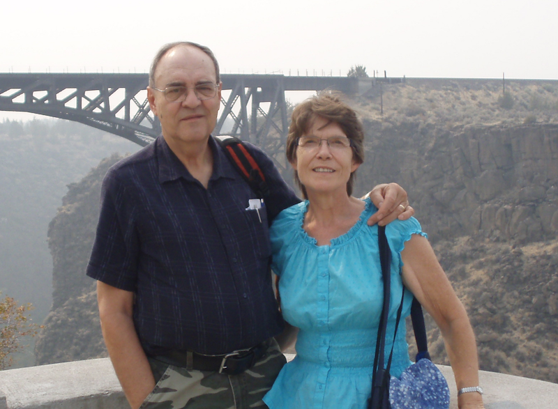 a man and woman standing at a lookout with a bridge in the background