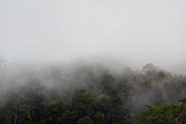 mist enshrouded mountains