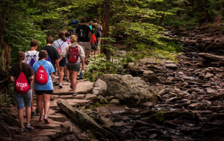 Wayumi attendees walking up a stoney path in the woods