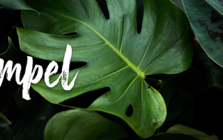 Compel logo over a green leafy banner