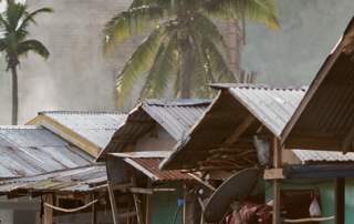 houses with fog and palm trees