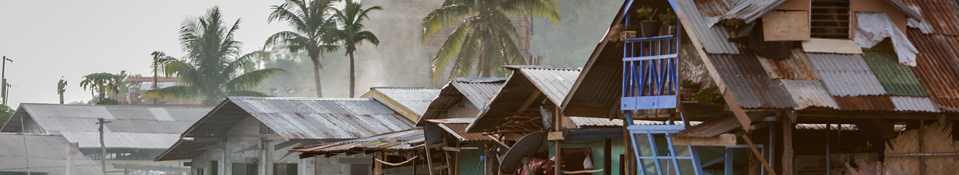 houses with fog and palm trees