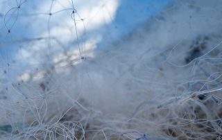 macro photo of a fishing net