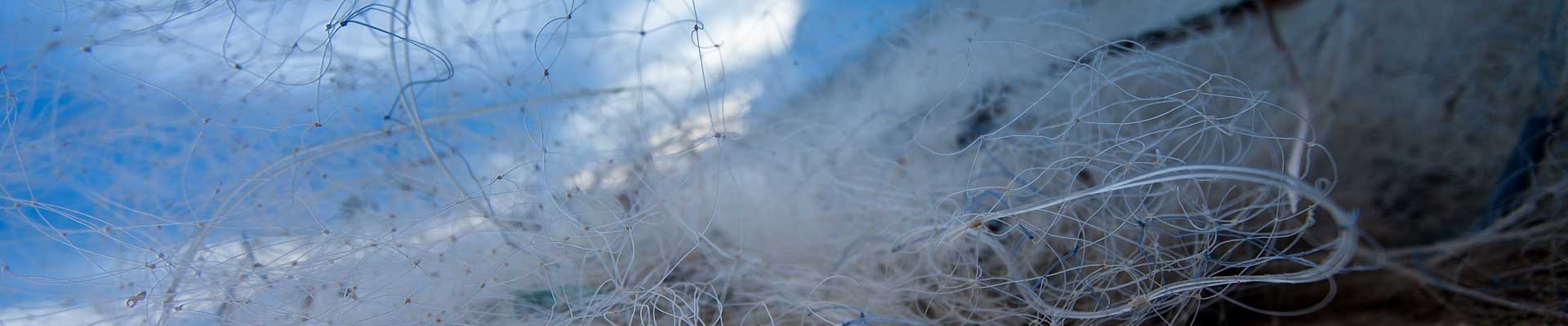 macro photo of a fishing net