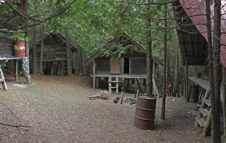 rustic huts make a mock-village in the woods