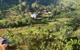 Aerial view of a small village