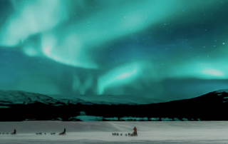 dogsleds under northern lights