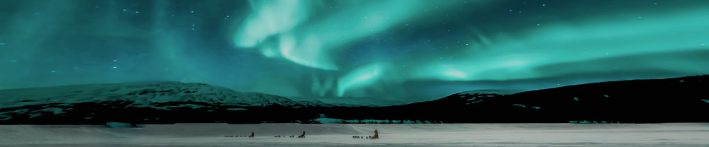 dogsleds under northern lights