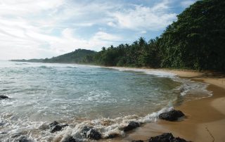 tropical shoreline