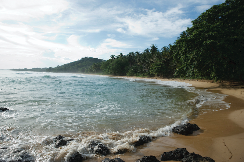 tropical shoreline