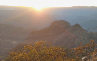 Mexican landscape