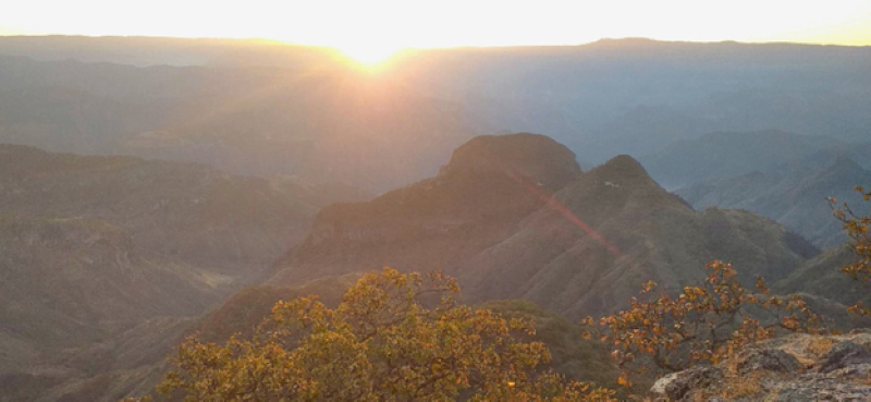 Mexican landscape