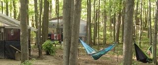 Jungle Camp houses in the woods