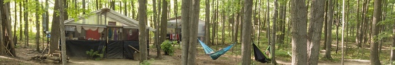 Jungle Camp houses in the woods