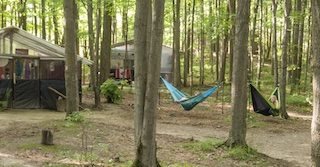 hammocks hung between the trees in Jungle Camp