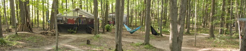 hammocks hung between the trees in Jungle Camp