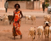 West African girl walking in dusty village with goats