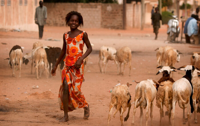 West African girl walking in dusty village with goats