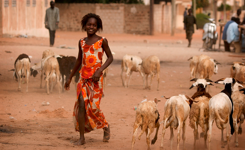 West African girl walking in dusty village with goats