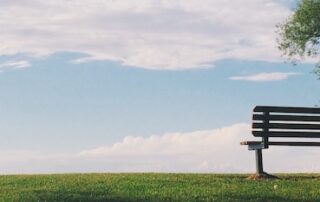 empty bench on a sunny hill