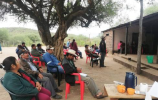 Simba believers gathering under a tree