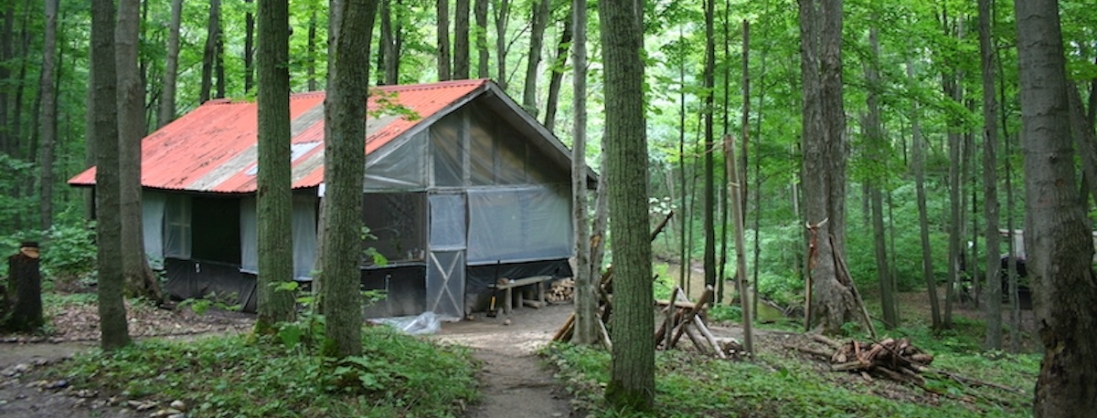 jungle camp house