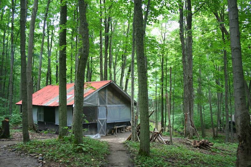 house in the woods