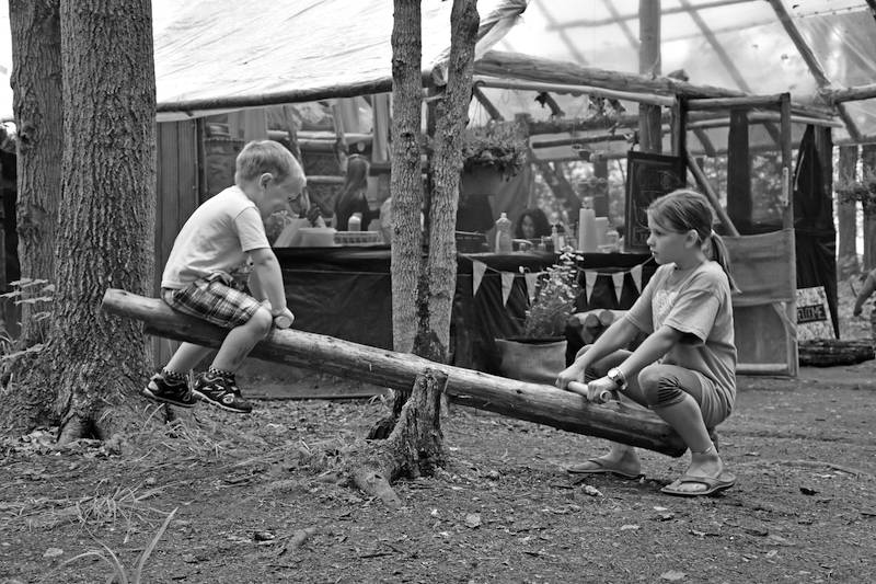 jungle camp seesaw